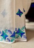 Sitara Phulkari Saree