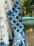 Aparajita Phulkari Saree