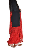 Phulkari Dupatta & Salwar