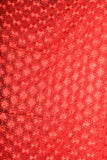 Phulkari Dupatta & Salwar
