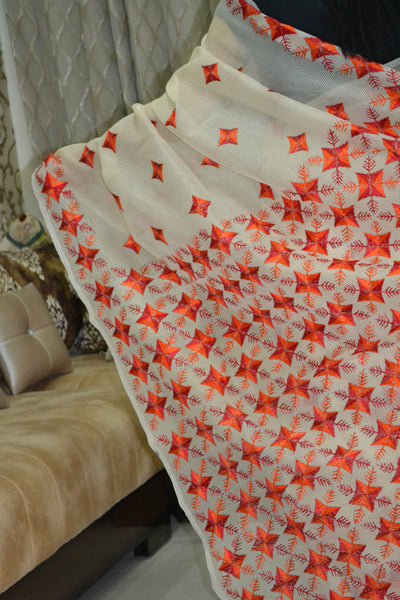 Just Phulkari Hand Embroidery Saree