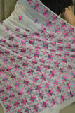 Just Phulkari Hand Embroidery Saree