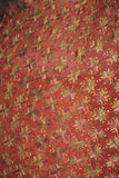 Kanchan Phulkari Saree