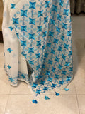 Just Phulkari Hand Embroidery Saree