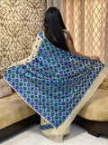 Just Phulkari Hand Embroidery Saree